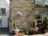 Floral display Culross